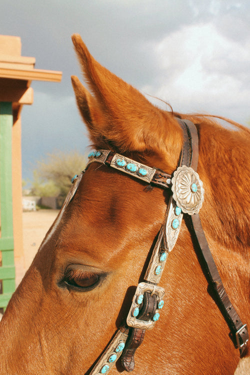 Stunning Vintage Sterling Silver, Leather and Morenci Turquoise Horse Headstall and Reins with Conchos & Naja