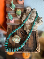 Kirby Smith Hand Strung Hubei Turquoise Heishi and Sterling Beaded Necklace