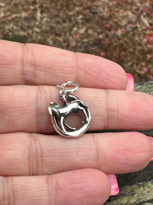 Sterling Silver Horseshoe Charm