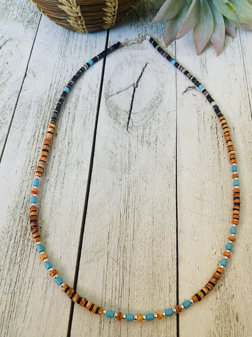 Navajo Multi Stone & Heishi Beaded 18 Inch Necklace