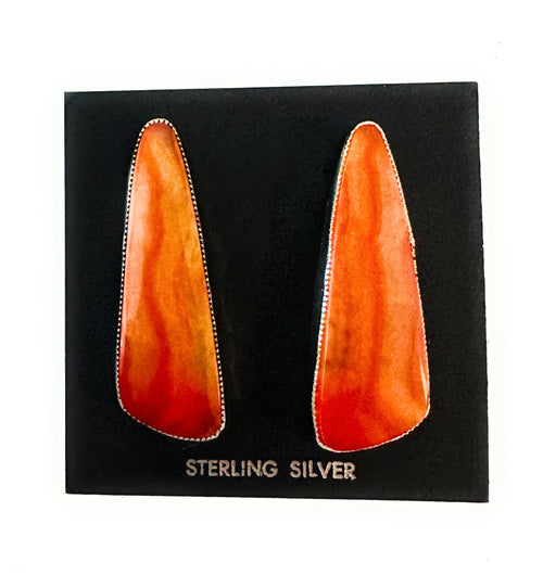 Navajo Jasper Sterling Silver Post Earrings Signed