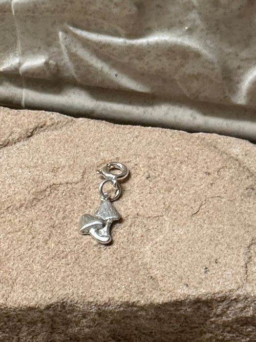 Mushrooms Charm