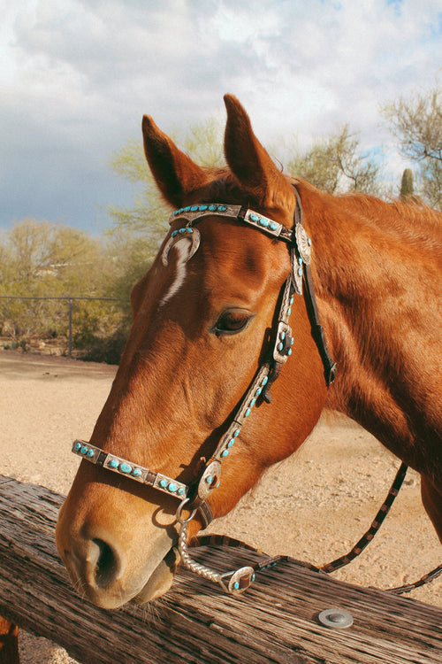 Stunning Vintage Sterling Silver, Leather and Morenci Turquoise Horse Headstall and Reins with Conchos & Naja