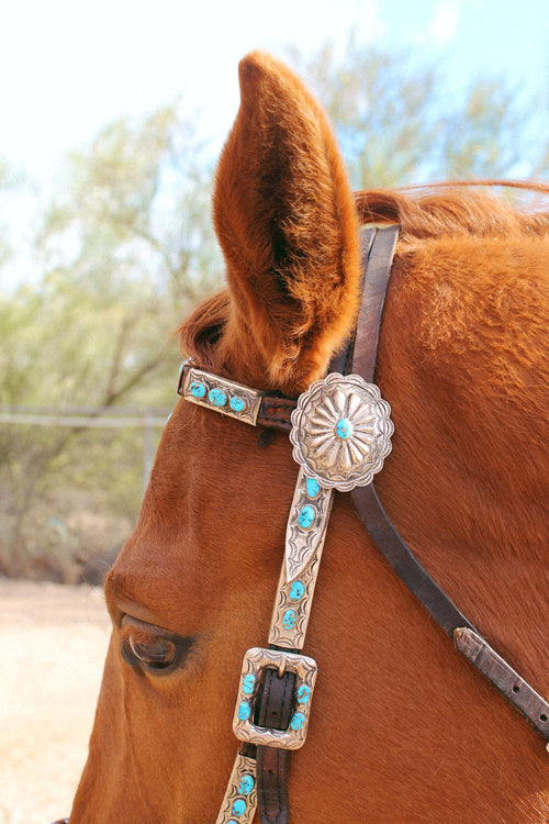 Stunning Vintage Sterling Silver, Leather and Morenci Turquoise Horse Headstall and Reins with Conchos & Naja