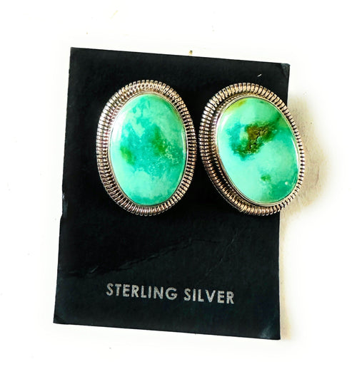 Navajo Sterling Silver & Sonoran Mountain Turquoise Post Earrings